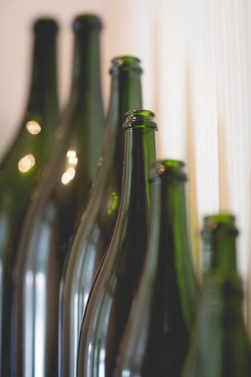 Le Gite De Romane Domaine Du Vendangeoir Βίλα Vinay  Εξωτερικό φωτογραφία